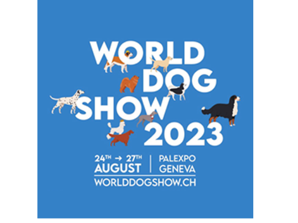 Resultados de la raza Whippet World Dog Show 2023