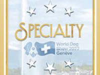 Specialties connected to the WDS 2023